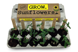 Sunflower Garden / 6 per case - $6.95 ea / Wholesale GG-S