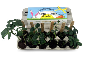 Little Bunny Garden / 6 per case - $6.95 ea. / Wholesale SS-LBG