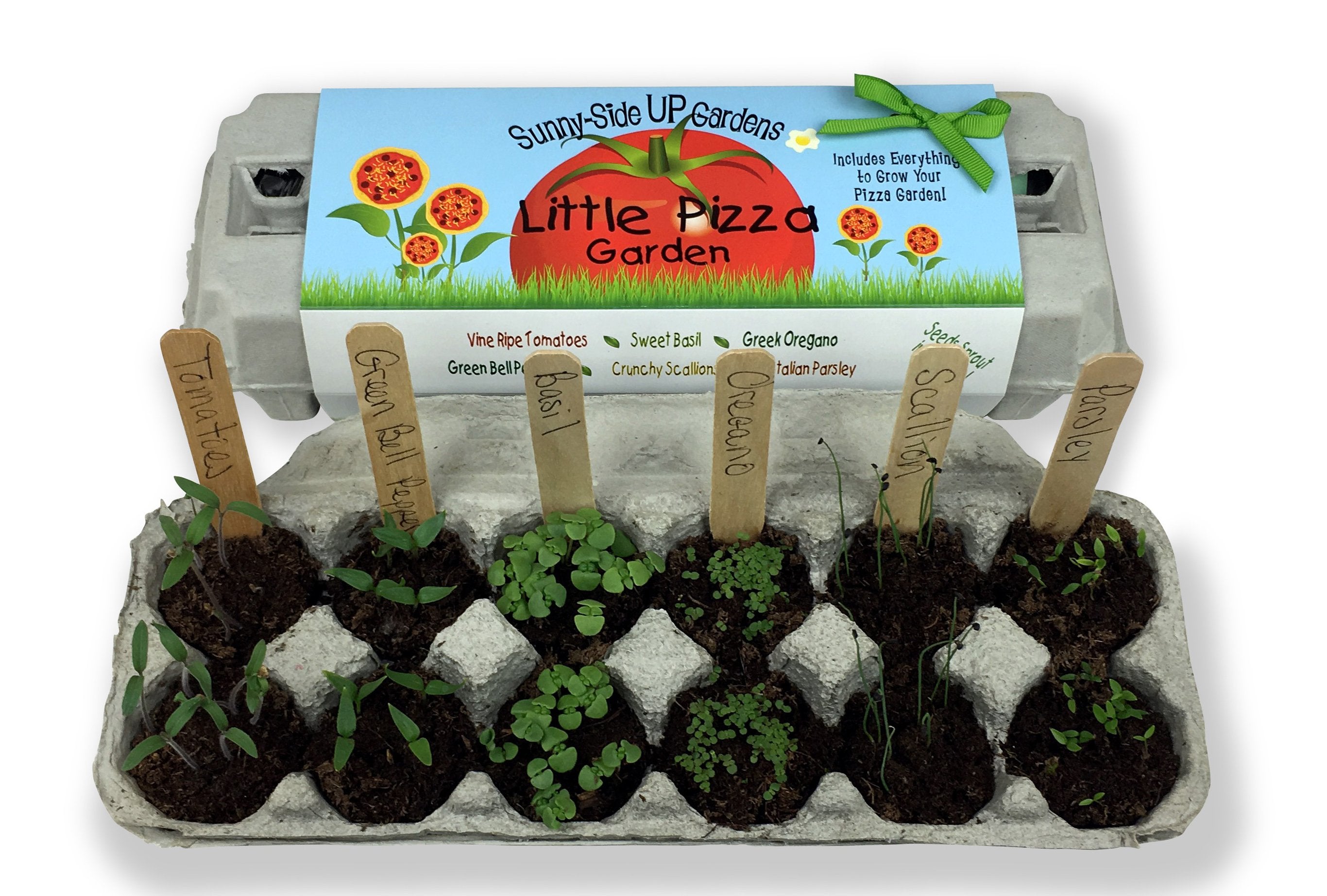 Little Pizza Garden / 6 per case - $6.95ea. / Wholesale SS-LPG