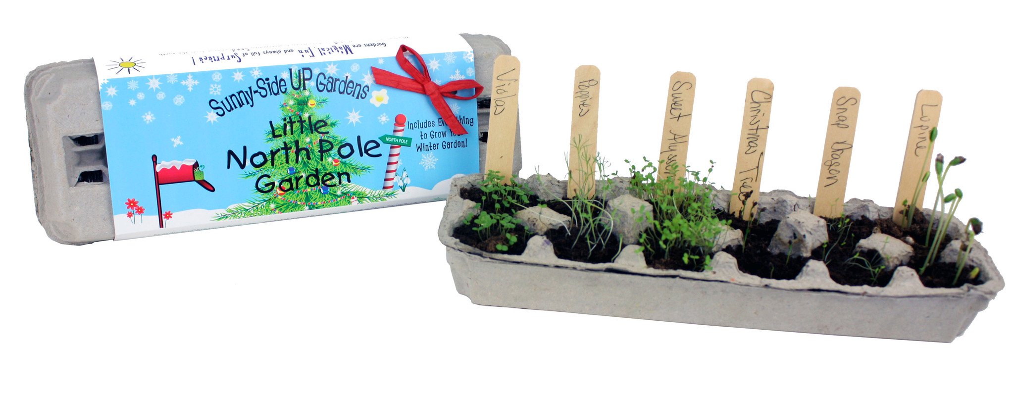 Little North Pole Garden / 6 per case - $6.95 ea / Wholesale SS-LNP