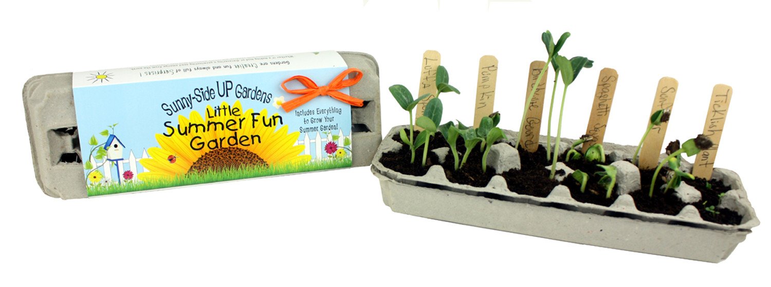 Little Summer Fun Garden / 6 per case - $6.95 ea. / Wholesale SS-LSF